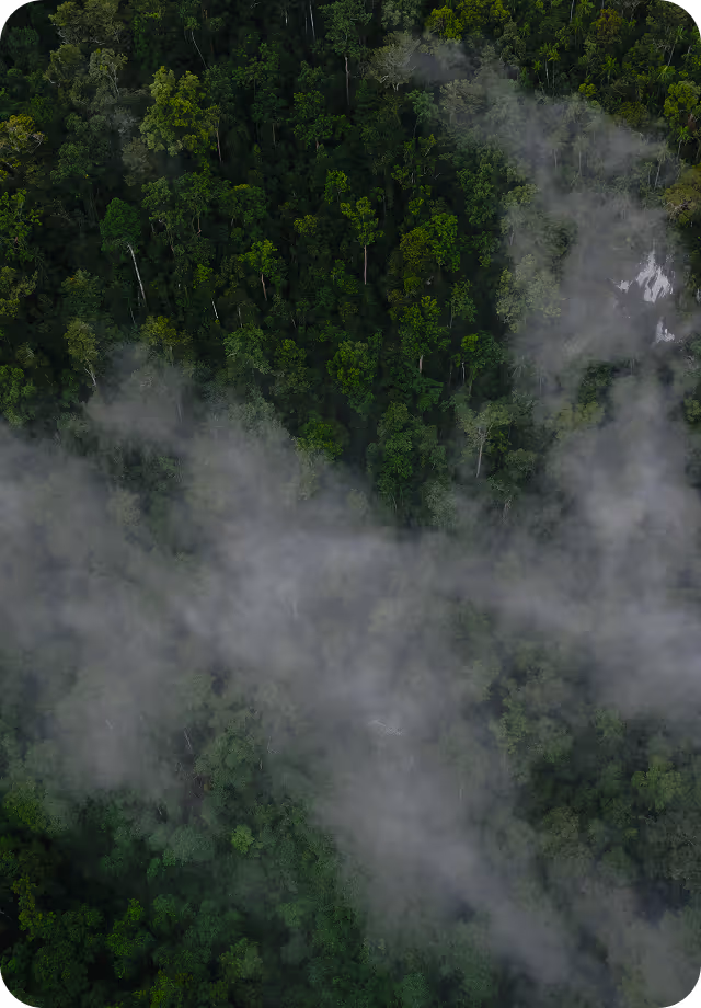 More Projects Coming Soon