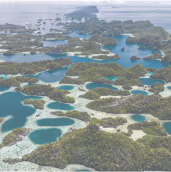 Marine Conservation Project